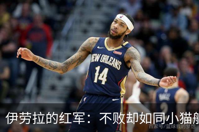 伊劳拉的红军：不败却如同小猫般笨拙